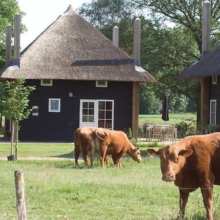 Villa Erve Woolderink Wierden Exterior foto